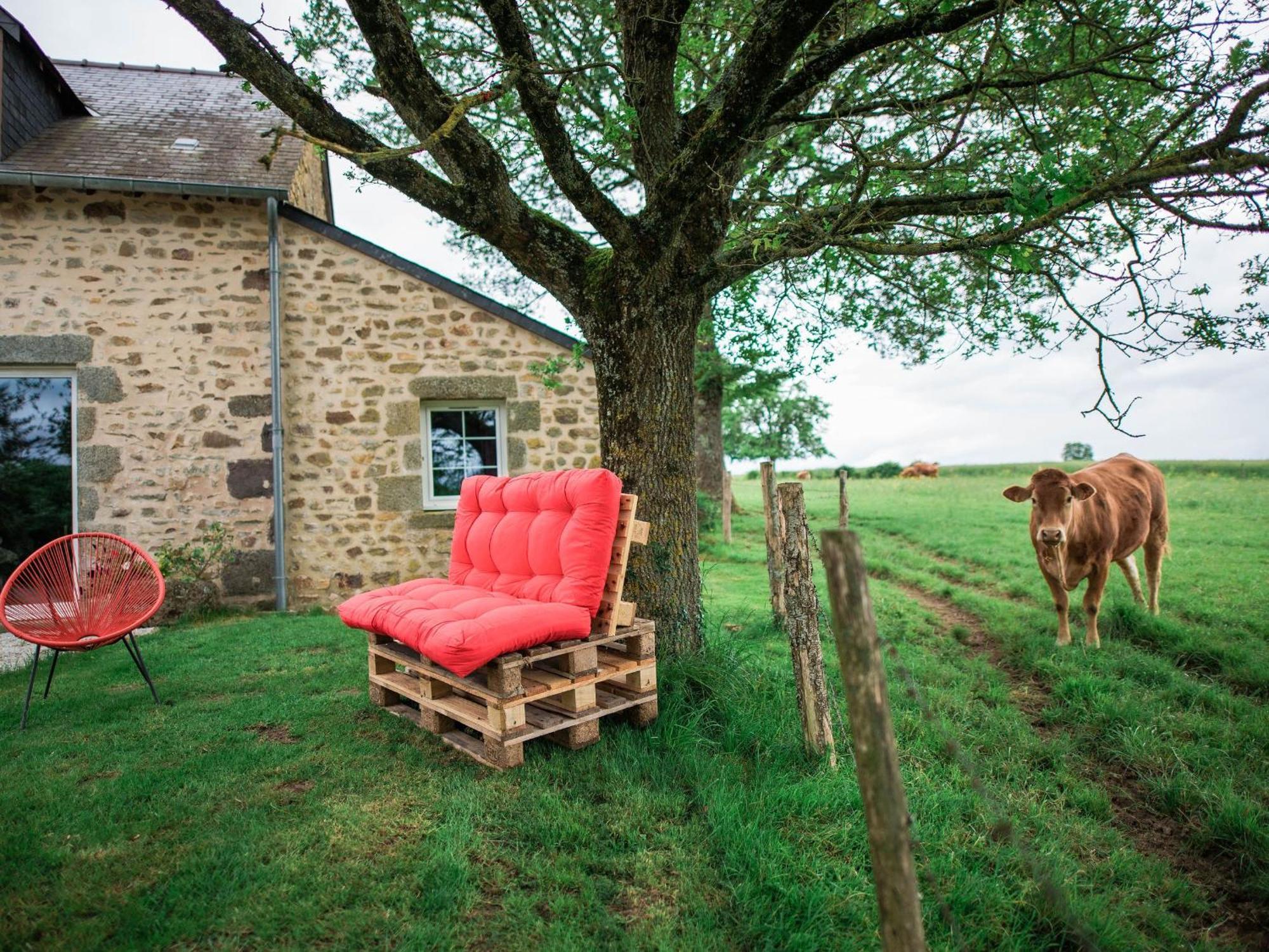Gite De Charme Renove Avec Cheminee, Terrasse Et Proche Randonnees - Capacite 13 Pers. - Fr-1-410-179 Сен-Леонар-Де-Буа Экстерьер фото
